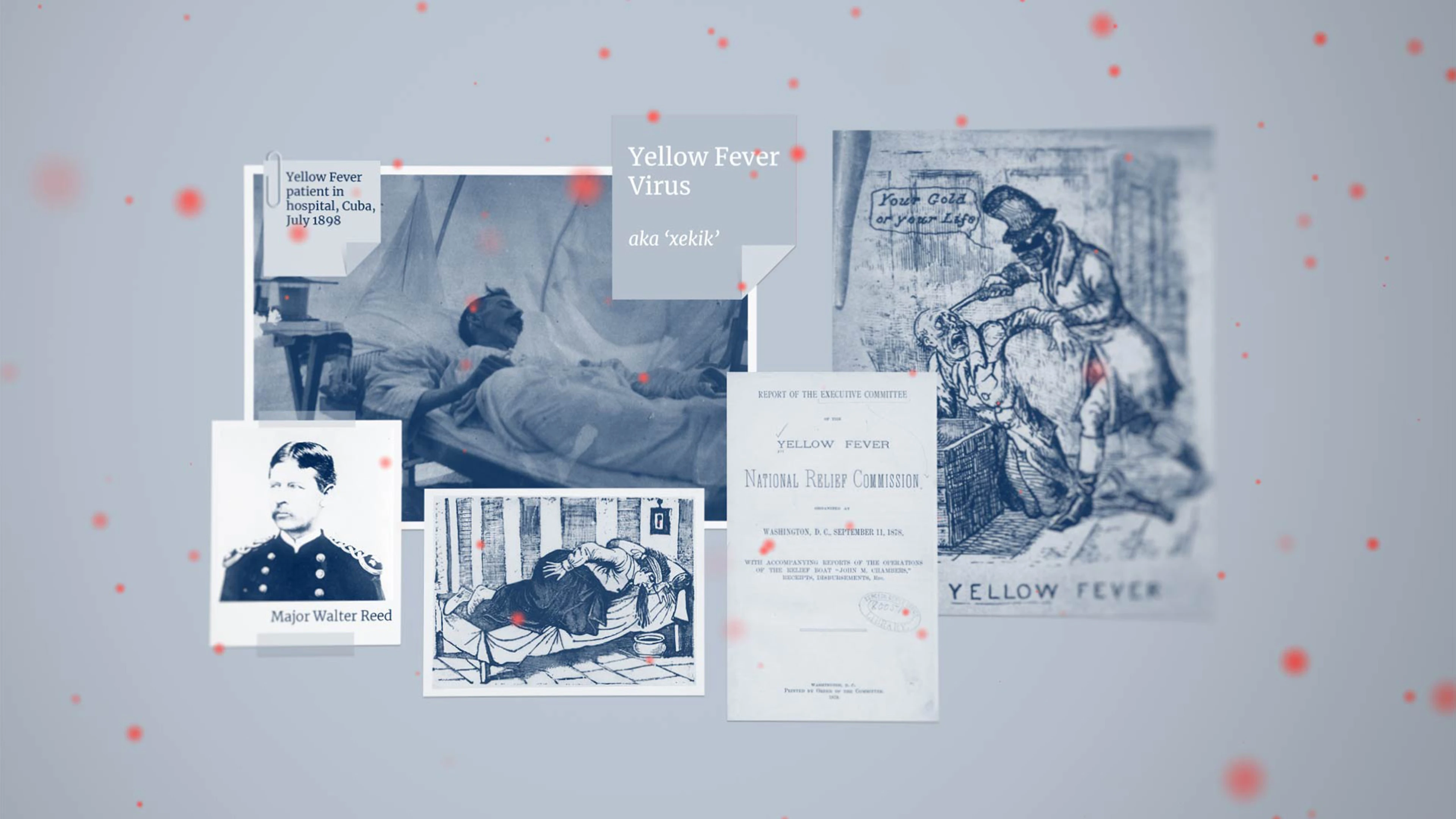 collage of different photos showing historic images